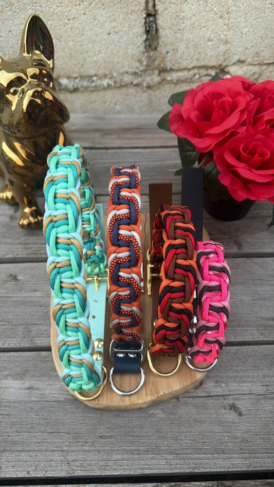 Collier Tressé en Paracorde pour Chien - ZIGZAG