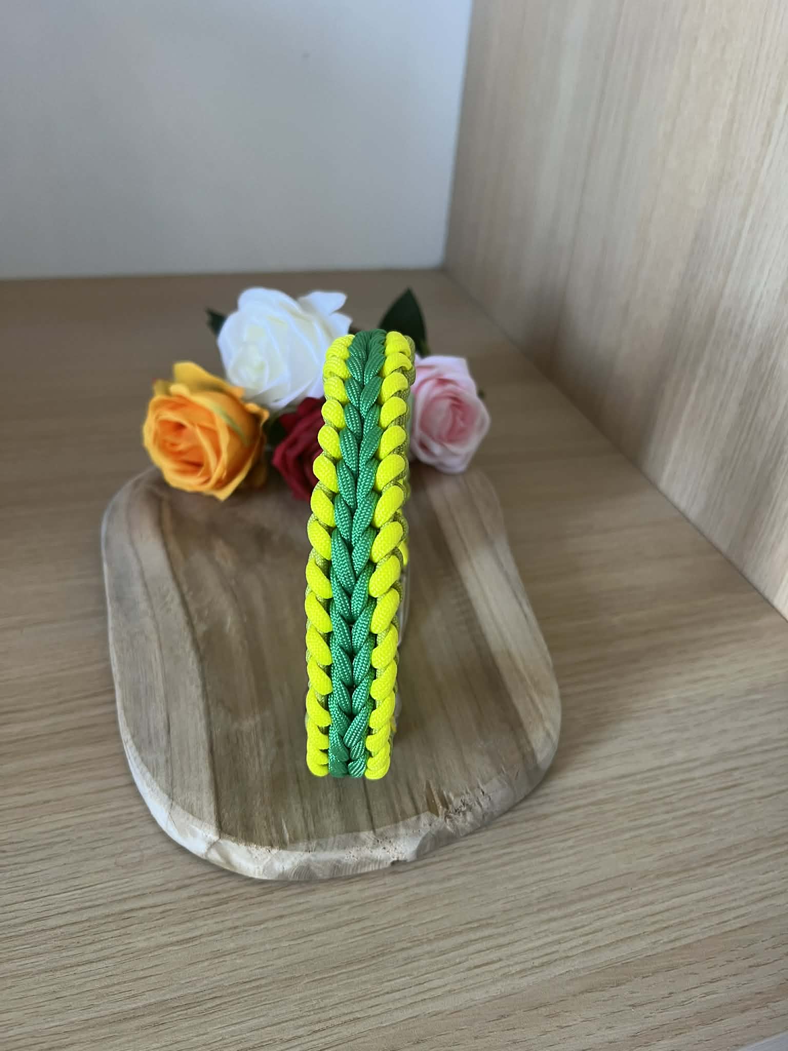 collier pour chien en paracorde