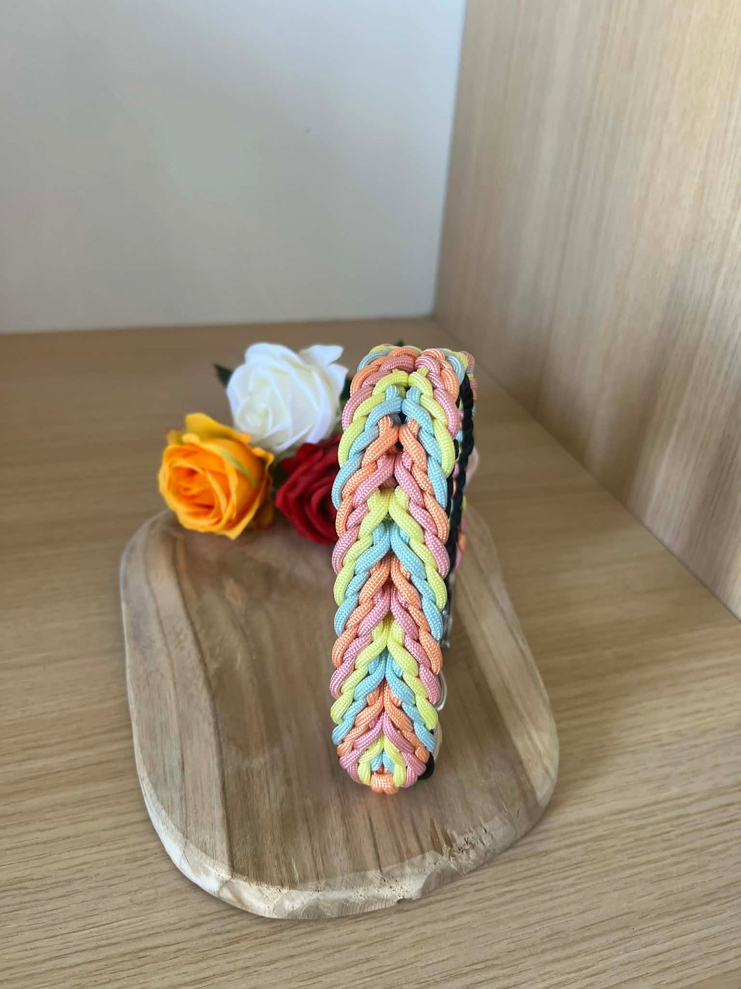 collier pour chien paracorde pastel
