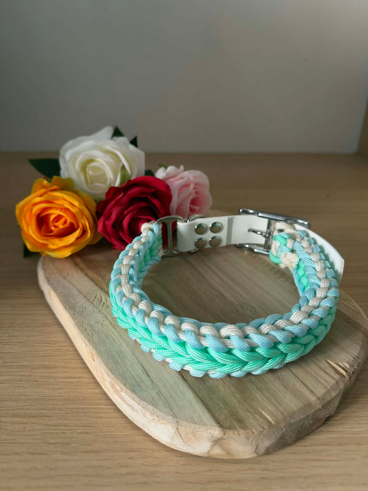 collier pour chien personnalisé simple