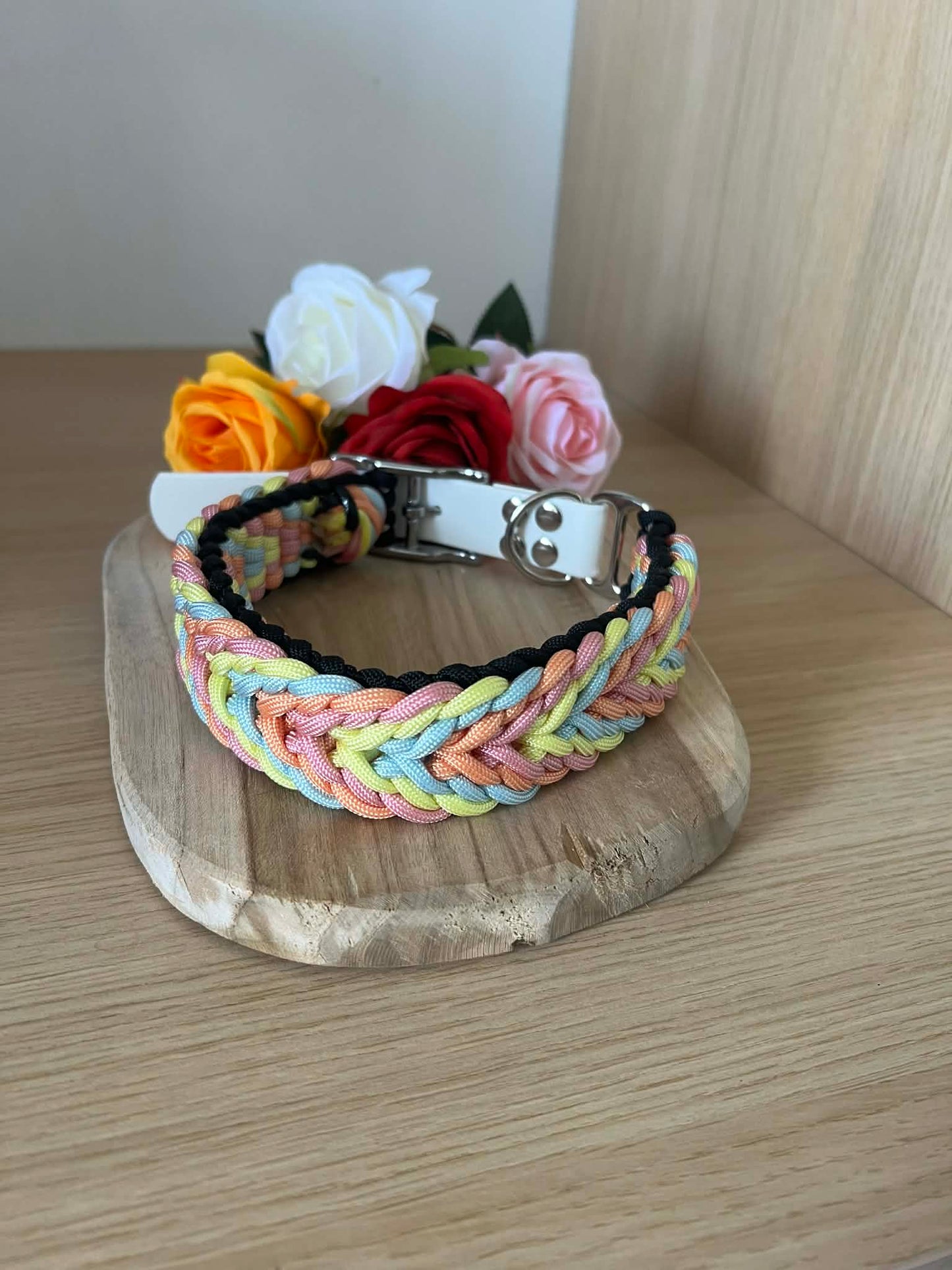 collier pour chien personnalisé élégant
