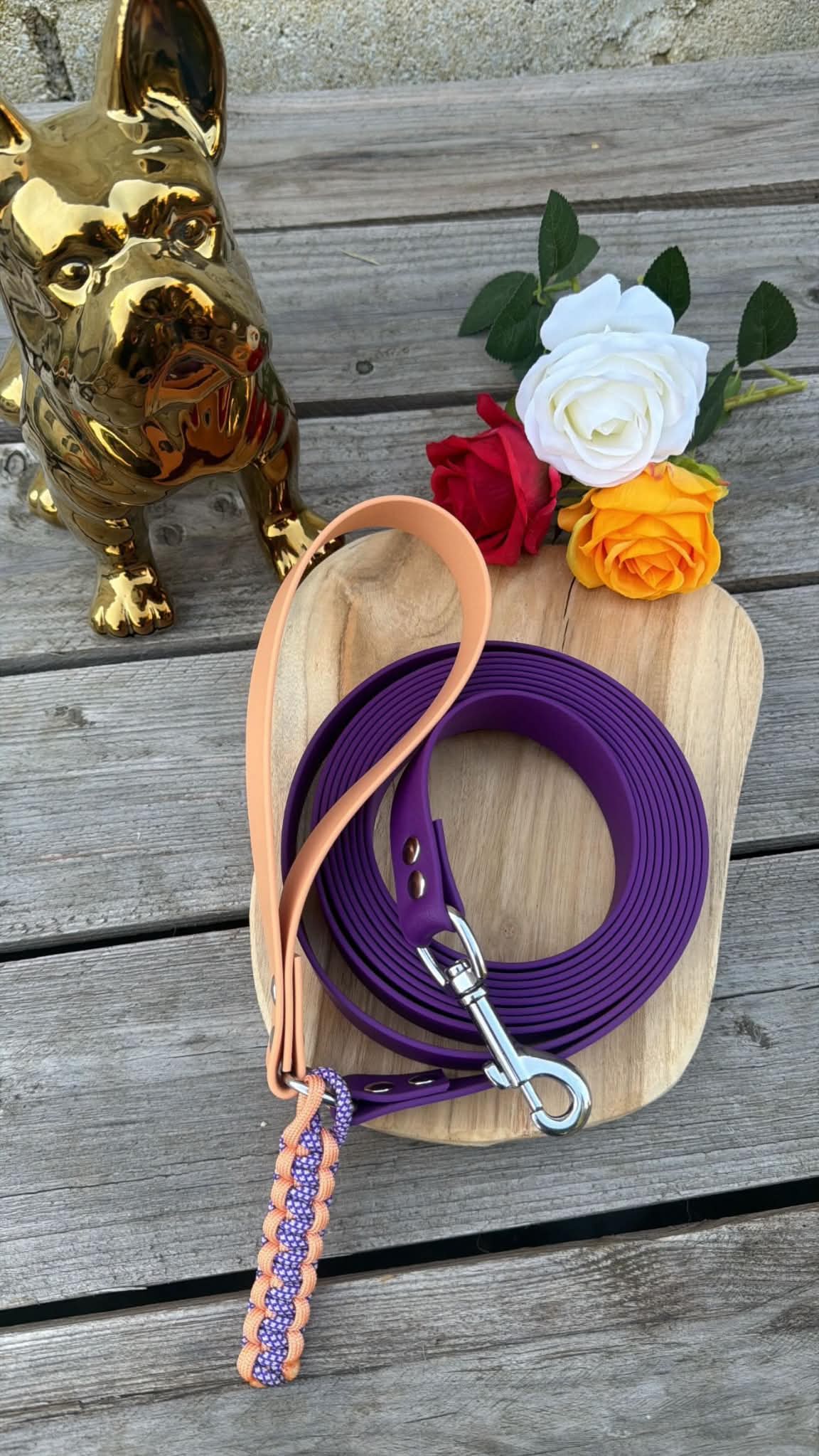 Longe résistante sur-mesure en PVC bicolore violet et orange pastel pour grands et petits chiens