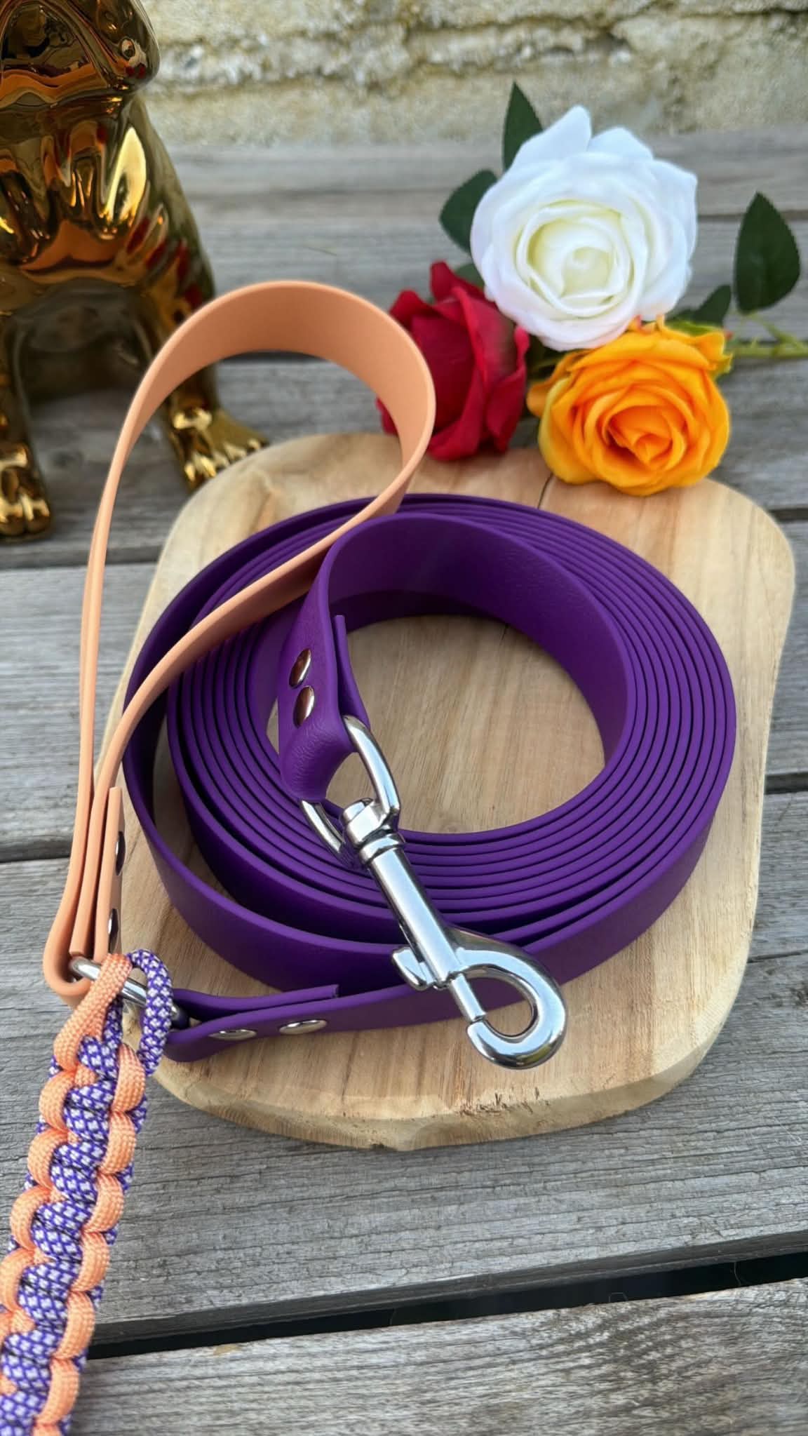 Longe en PCV violette et orange avec mousqueton robuste en acier  argentée pour l'éducation et la balade du chien