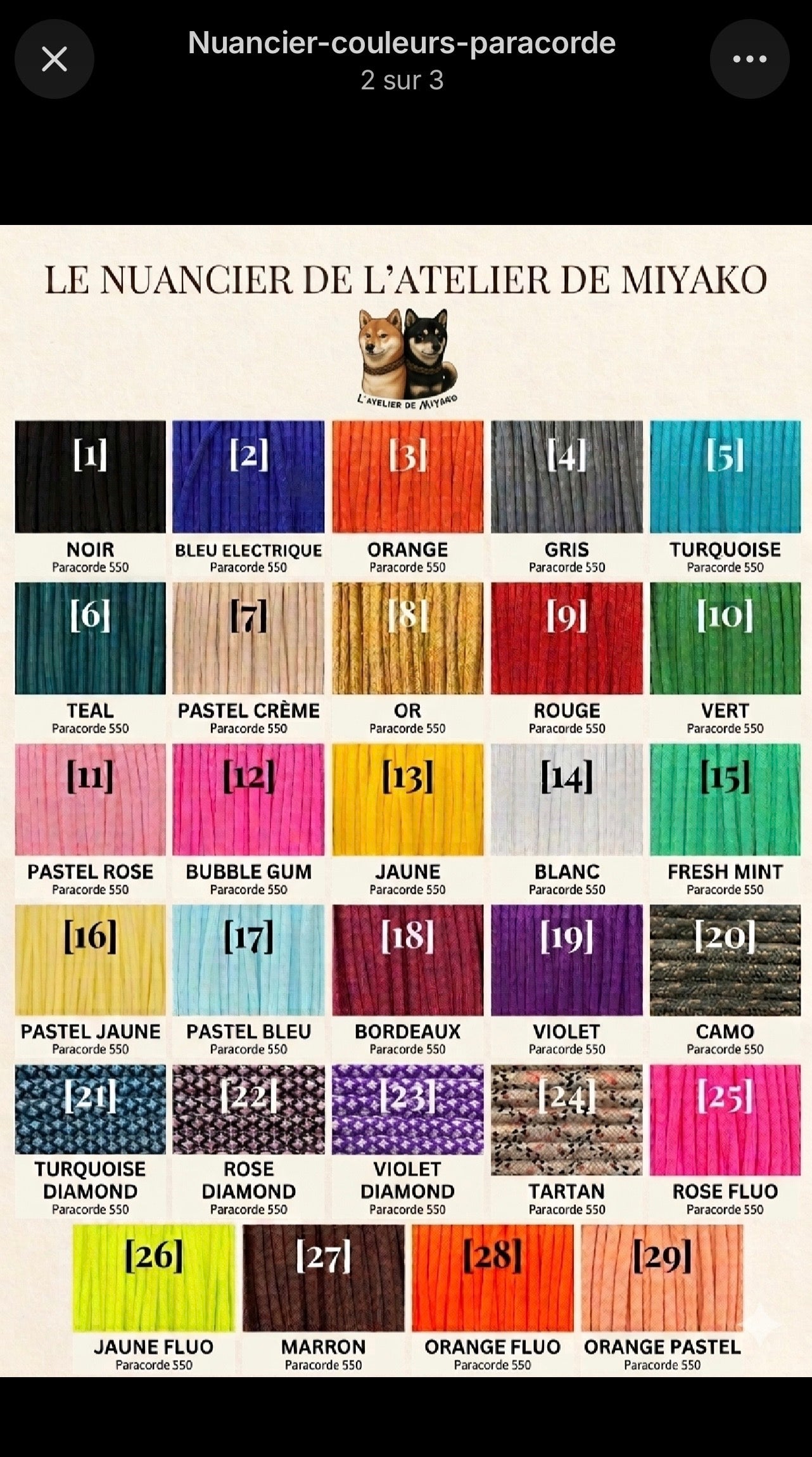 Nuancier des couleurs disponibles pour la personnalisation du collier en paracorde pour chien